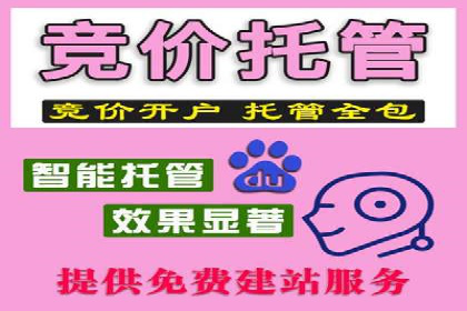 某行业SEM外包公司的成功实践与经验分享